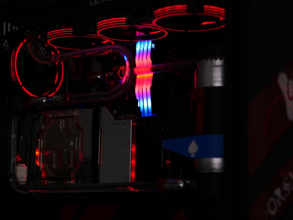 Queen of Hearts CASEMOD 4 46693462 602574623529729 221690616793268224 n 1