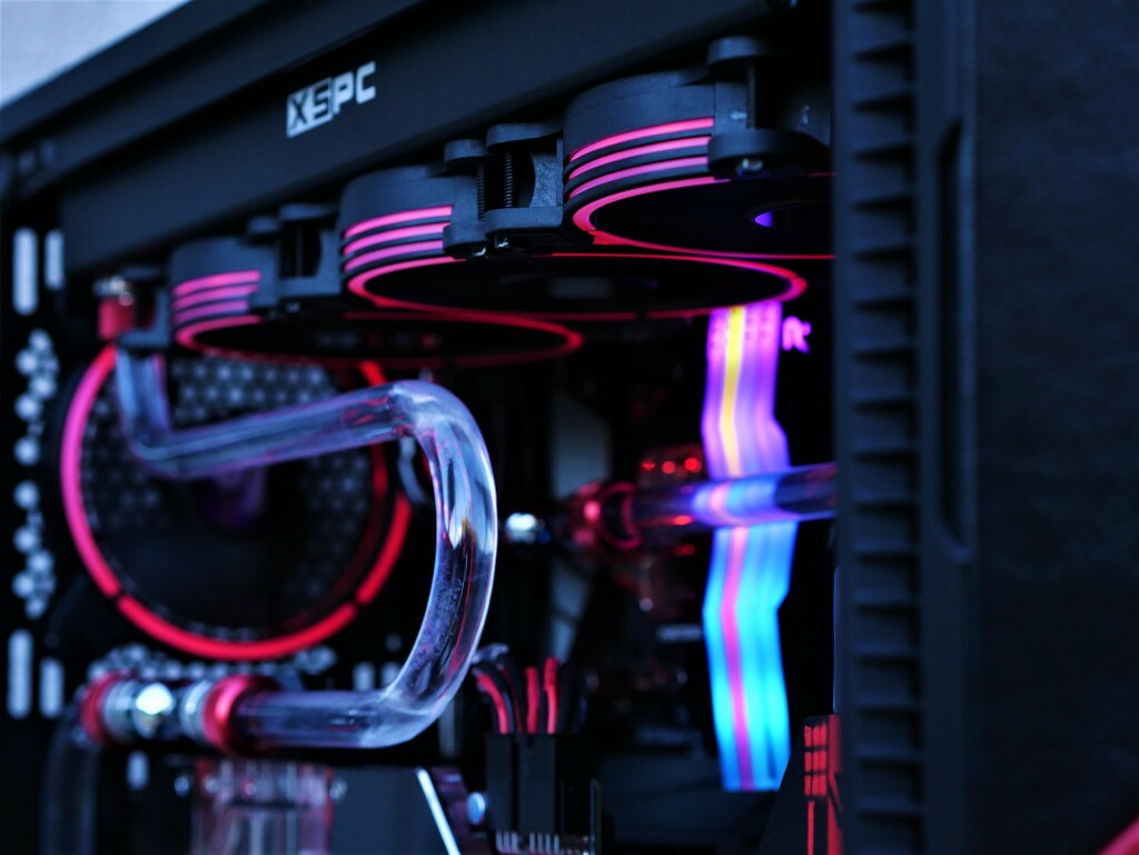 Queen of Hearts CASEMOD 6 P1010047 1