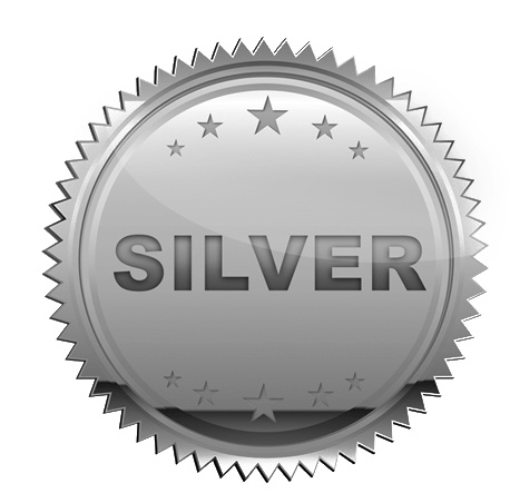 silver badge