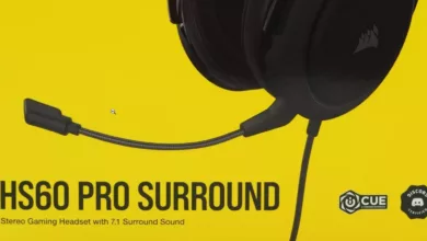 P1125772.jpg Image JPEG 2949 × 2949 pixels Mozilla Firefox jpg webp