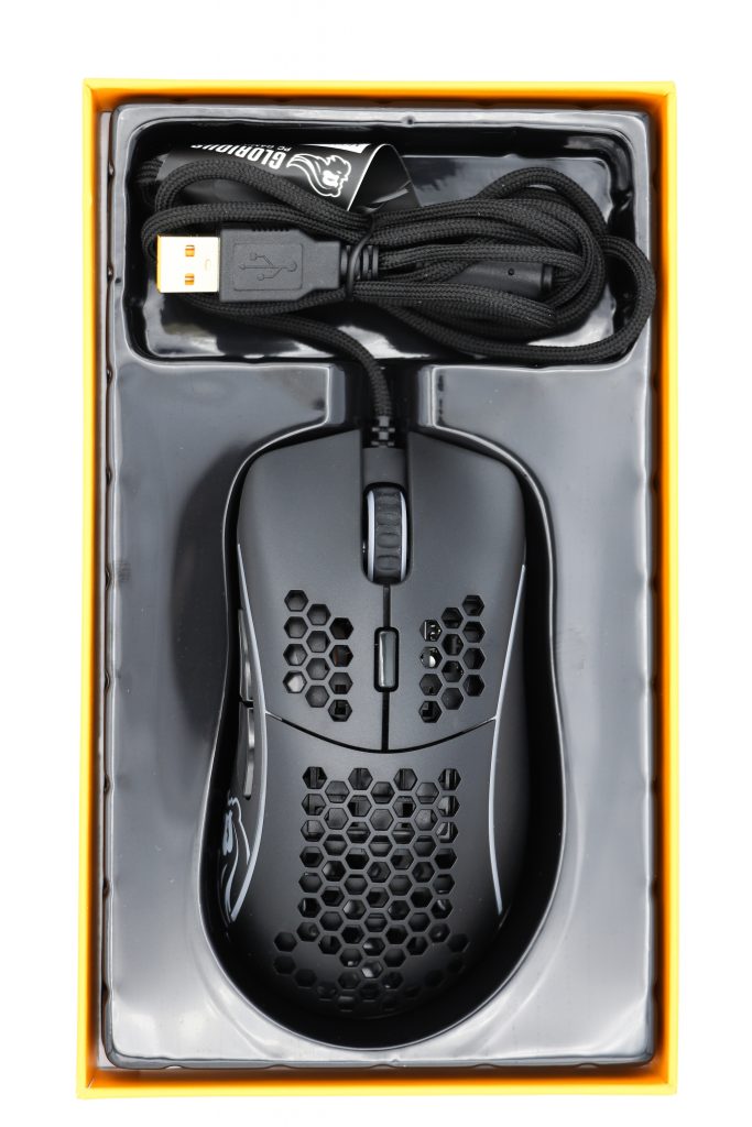 Test de la souris Glorious Model D 6 IMG 2579