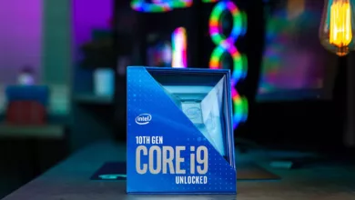 95521296 738473783559856 3892985398208495616 n jpg webp