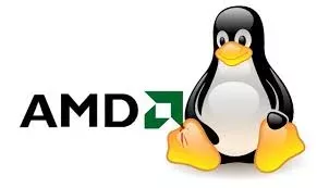 AMD Linus jpg webp