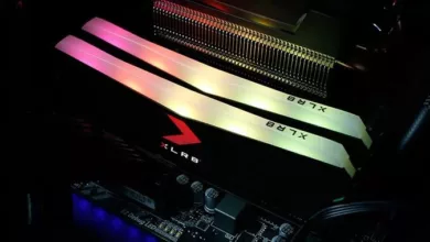 XLR8 17 ban jpg webp