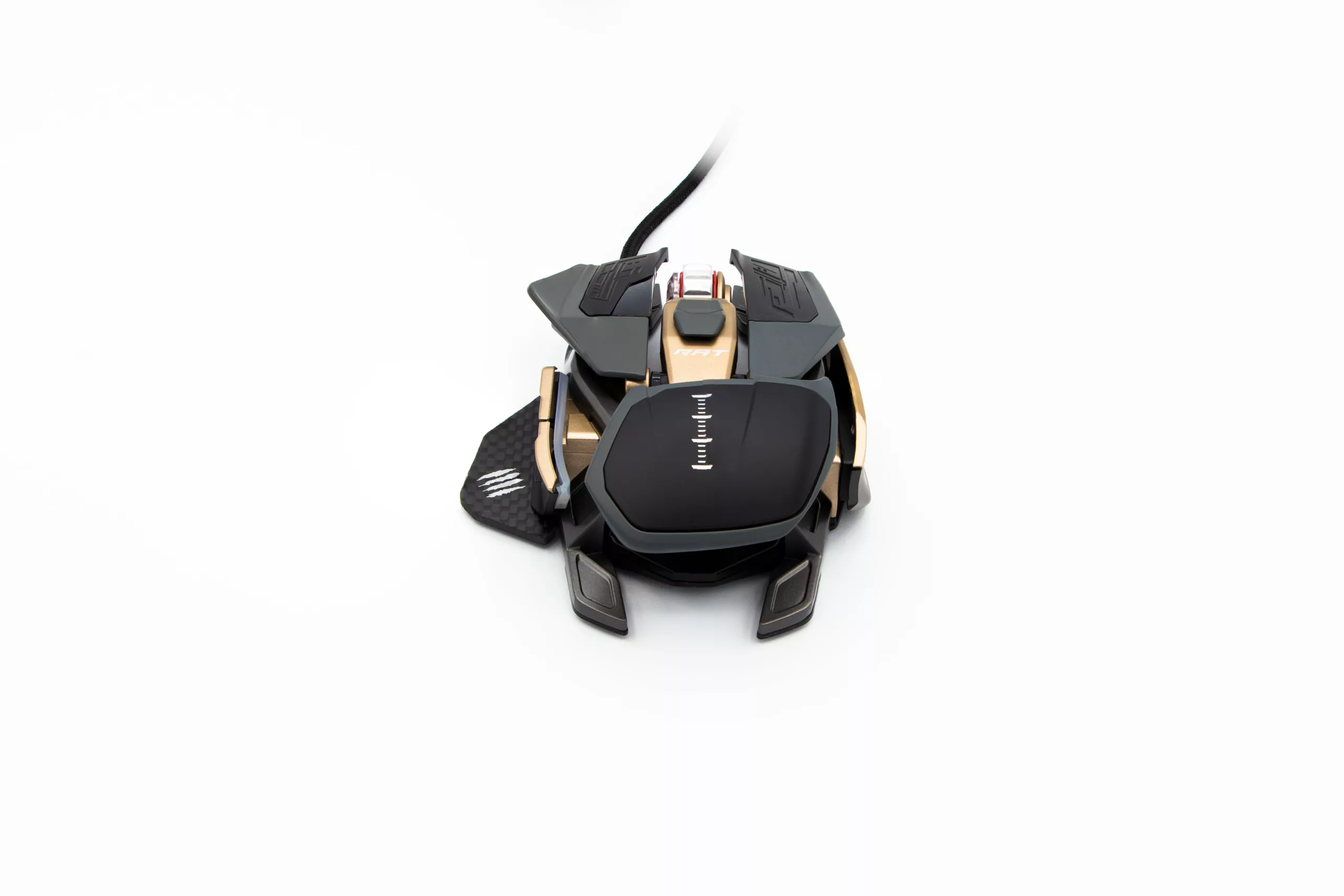 IMG 3207 Edit scaled