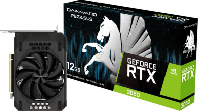 Screenshot 2021 01 16 GAINWARD GeForce RTX 3060 12GB Pegasus1 jpg Image JPEG 1200 × 900 pixels1