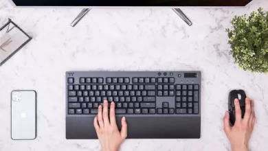 3 jpg webp