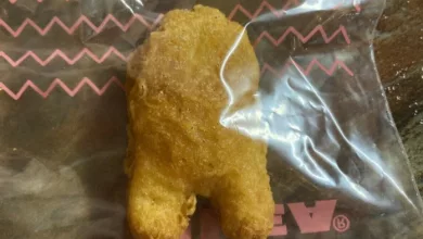 99 997$ pour un Nugget 18 NUGGET EBAY 001 jpg webp