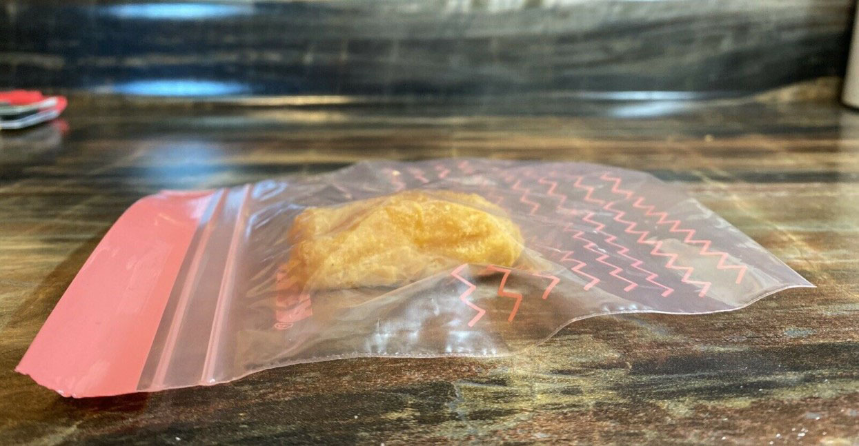 99 997$ pour un Nugget 3 NUGGET-EBAY-002