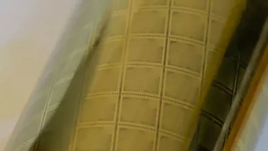 La puce flexible en plastique est presque au point 20 Puce plastique 001 jpg webp