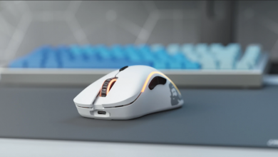 glorious gaming mouse model d wireless 001