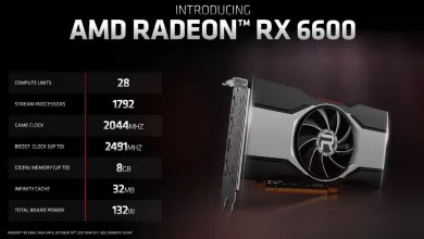 AMD Radeon RX 6600 001 jpg webp