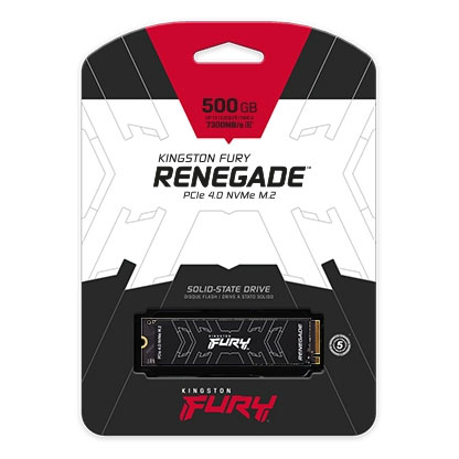 Kingston fury renegade 003