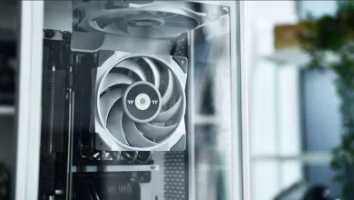 toughfan 12 blanc 001 jpg webp