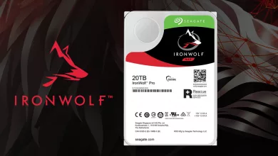 ironwolf pro 20 to cover jpg webp