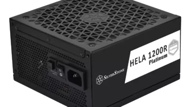 SilverStone présente les blocs HELA 1200R Platinum et DA1000R Gold 33 ha1200r pm 2 jpg webp