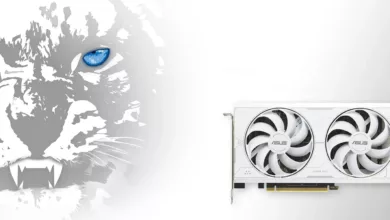ASUS RTX 3060 2 jpg webp