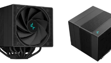 Assassin IV jpg webp