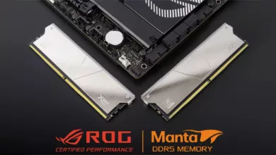XSKY ROG jpg webp