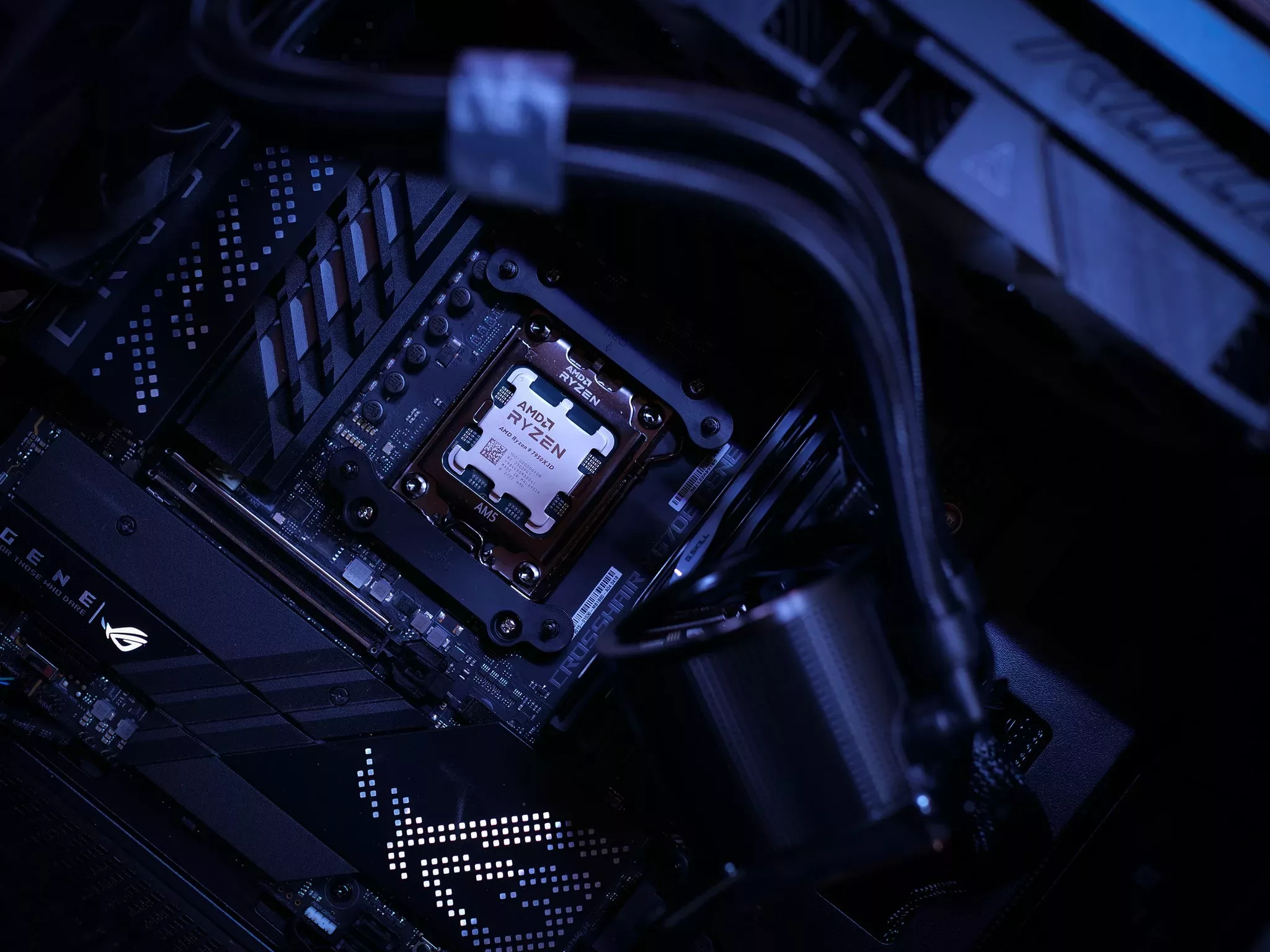 332134052 882176556195709 4898216518185861089 n