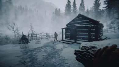 Sons Of The Forest Patch 02 32 jeux video sons of the forest jpg webp