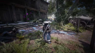 jeux video the swordsmen x survival