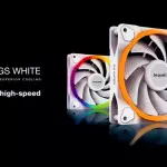 light wings white jpg webp