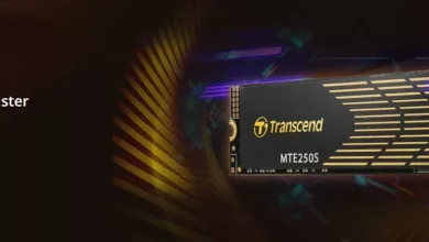 ssd transcend mte250s jpg webp
