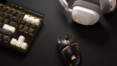 Souris DARKSTAR WIRELESS