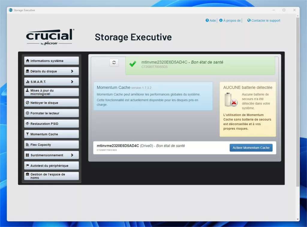 curcial storage executive 08