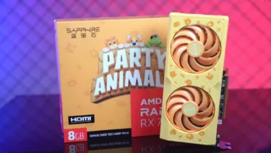 Sapphire Radeon RX 7600 Party Animals : un GPU trop choupinou ! 13 RX 7600 Party Animals