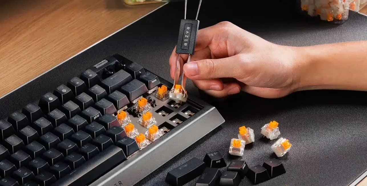 Claviers Razer BlackWidow V4 : la gamme s'élargit avec une version plus compacte 2 Razer Blackwidow V4 75% switches remplacables
