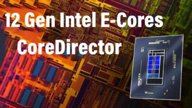 coredirector E Cores bitsum