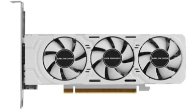 GALAX lance deux modèles de RTX 4060 (Ti) : une low profil et une à emplacement unique 29 GALAX RTX 4060 LP Couv