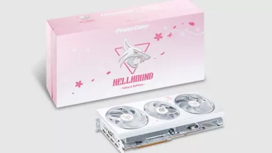 PowerColor RX 7800 XT Hellhound Sakura Edition : les fleurs de cerisier à la fête 9 PowerColor RX 7800 XT Hellhound Sakura Edition Couv