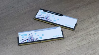 bragi rog 7200 cover