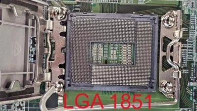 lga 1851 2024