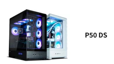 ZALMAN P50 DS Couv