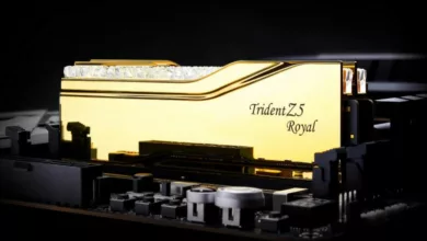 trident z5 royal ddr5