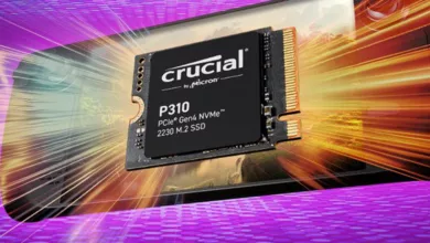 Crucial P310 Couv