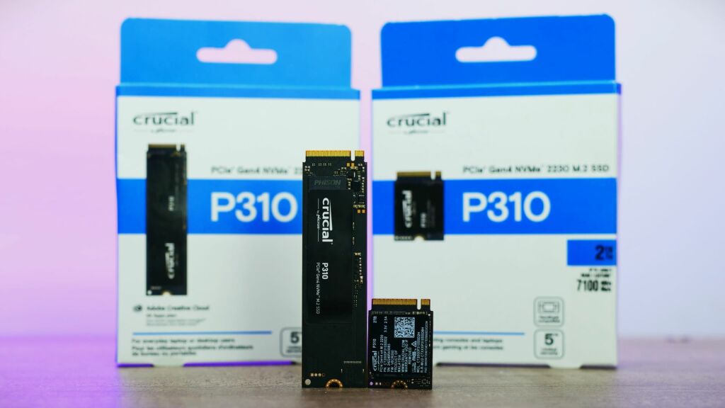 Crucial P310 2230 et 2280 02
