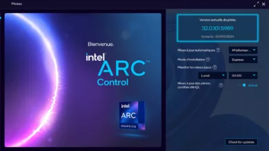 Intel Arc & Iris Xe Graphics : Le Pilote 32.0.101.5989 est arrivé ! 5 pilote intel arc iris
