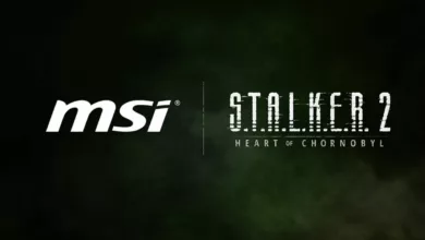 stalker 2 et msi partnership