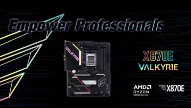 BIOSTAR X870E VALKYRIE Couv
