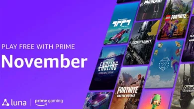 prime gaming Novembre