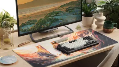 Drop Le Seigneur des Anneaux Argonath Couv