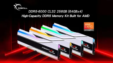 GSKILL 256 go 6000 cl32