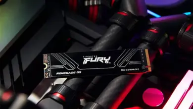Kingston Fury Renegade G5 PCIe Gen5 SSD leaked