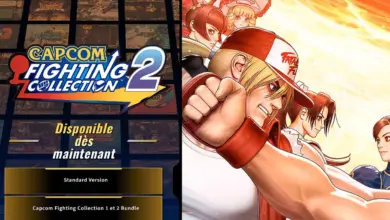 Capcom Fighting Collection 2 Couv