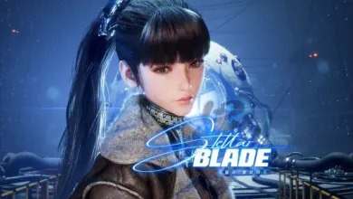 stellar blade config